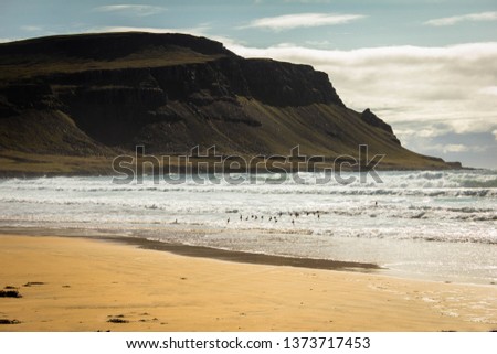 White sand beach on the Atlantic ocean shore and coastline. Little birds soaring above sea water against the backdrop of green mountains. Summer bright day and icelandic landscape. Outdoor vacation.