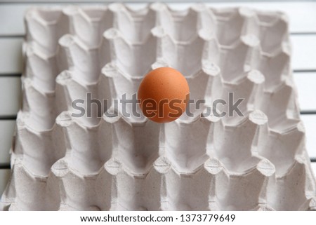 Photo session of lonely egg