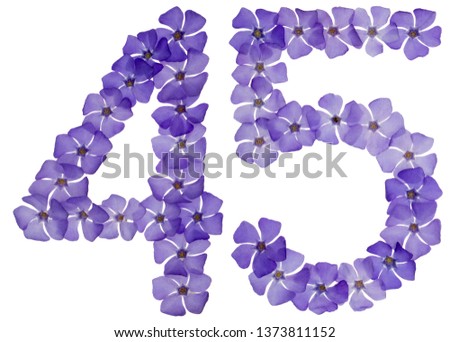 Numeral 45, forty five, from natural blue flowers of periwinkle, isolated on white background
