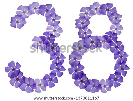 Numeral 38, thirty eight, from natural blue flowers of periwinkle, isolated on white background