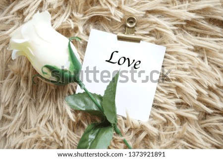 Love wording on a white card beside a rose flower over the brown background.