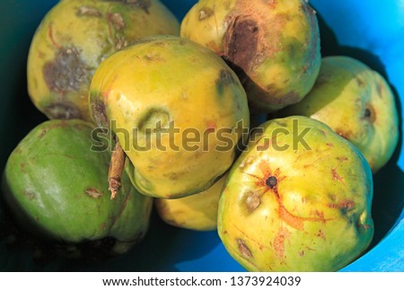 fresh garcinia cambogia on wooden background. Garcinia is thai herb (south of Thailand) and sour flavor lots of vitamin C. Low key picture style