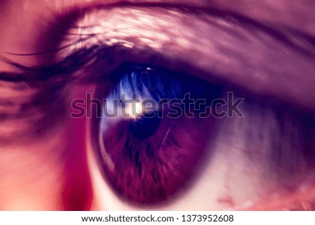 beautiful and colorful macro shot of an eye with sun reflecting in it, close up photo of a brown eye