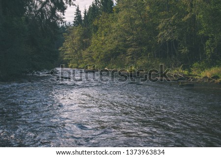 fast river in forest. Amata in Latvia with high water and rapid stream ready for kayaking in green summer - vintage retro film look