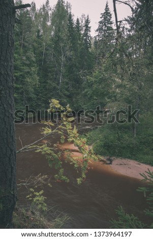 fast river in forest. Amata in Latvia with high water and rapid stream ready for kayaking in green summer. long exposure - vintage retro film look