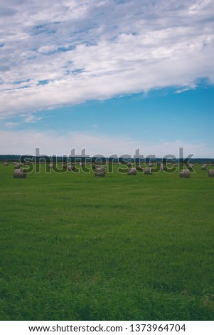 rolls of hay in green field under blue sky. countryside scenenery in Latvia - vintage retro film look