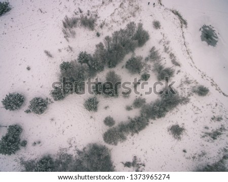 drone image. aerial view of rural area with fields and forests in snowy winter. textures in snow - vintage old film look