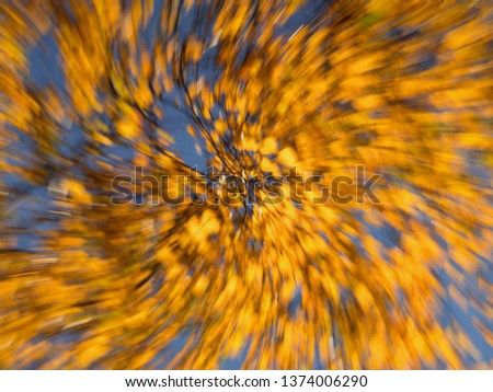 Mixed colors of autumn. Blurry and magic bright autumn foliage background