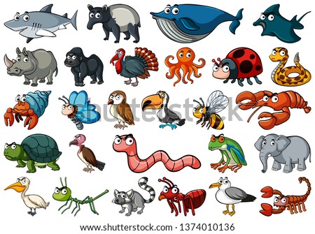 Set of various animals illustration