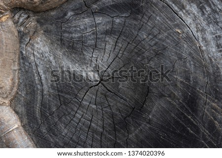 dark gray wooden cut with beautiful cracked patterns brightly illuminated by sunlight background for design nature concept