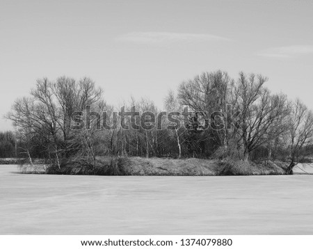 Island with spring rees surrounded by frozen ice background