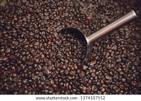 Close up spatula with coffee beans near special equipment.