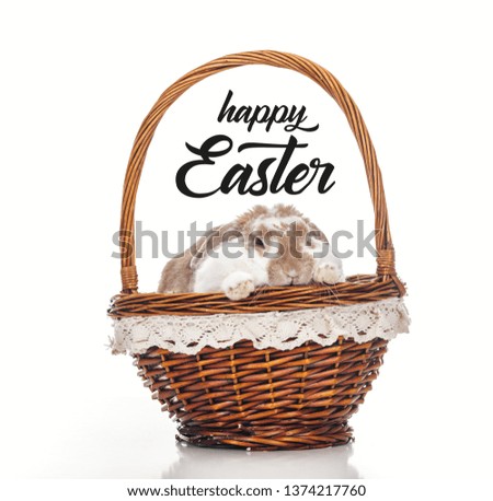 cute bunny in wicker basket isolated on white with happy Easter lettering