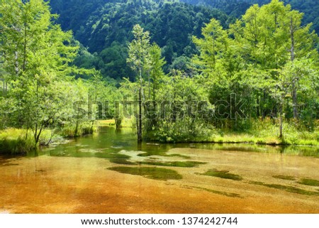 Chubu-Sangaku National Park.This place is Tashiroike Pond in Kamikochi.Matsumoto Nagano Japan.Late August.