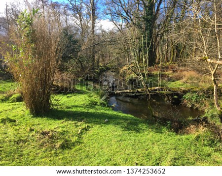 Stream in Killarney National Park, Co. Kerry, Ireland