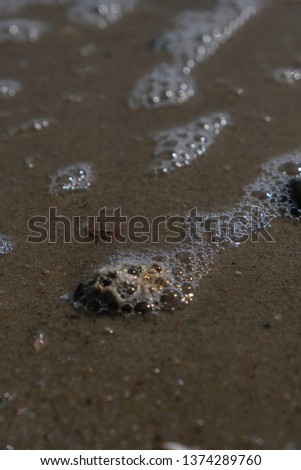 Pictures taken on the beach of Föhr focusing on the little details on the beach