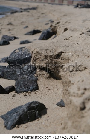 Pictures taken on the beach of Föhr focusing on the little details on the beach