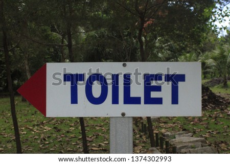 male and female toilets