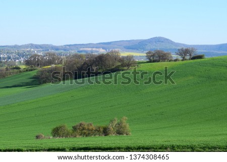 green fields in springtime