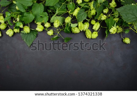 Border from green hop branches on dark wooden background. Brewing.
