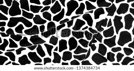 Background, pattern, texture, Wallpaper, color of the skin of the animal giraffe
