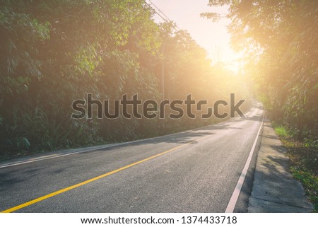 road between trees and beautiful brightest morning with sunrise