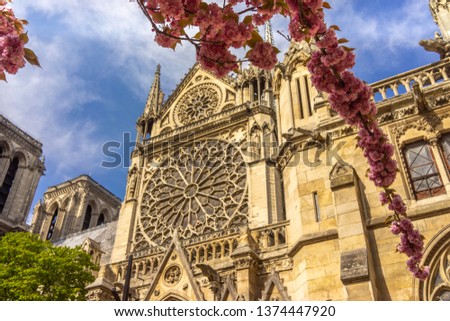 Notre-Dame de Paris on a sunny day during cherry blossom season
