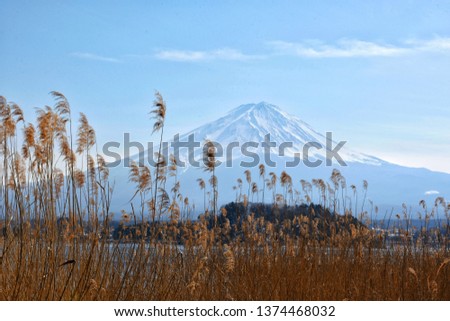 Mount Fuji at Kawaguchiko lake with blue sky
