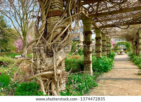 Kennington park garden