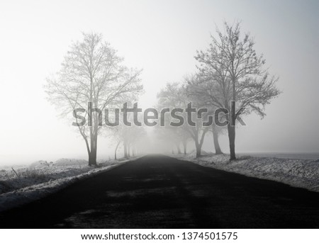 
Misty unknown road