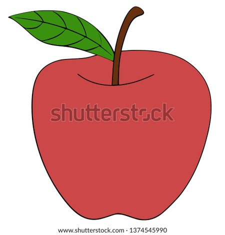 apple illustration or apple vector