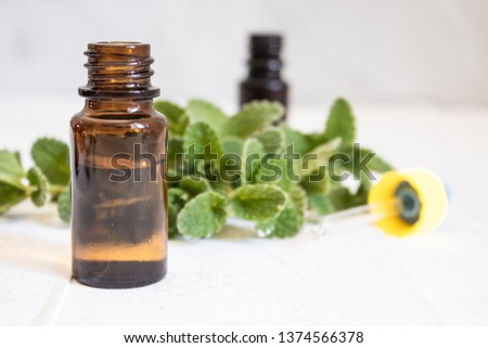 A bottle of mint essential oil with fresh mint leaves in the background. Natural essential oil of mint.