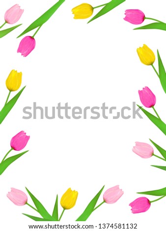 Picture with multicolored tulip flowers