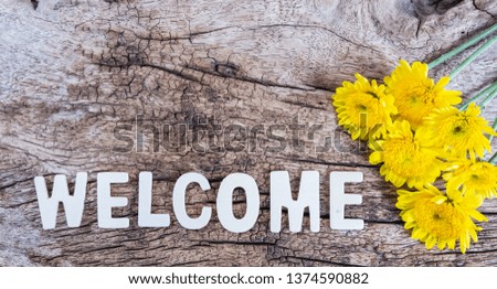 Word "welcome" on wooden background.
Spa and education concept. 