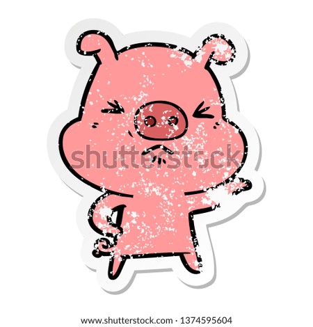distressed sticker of a cartoon angry pig