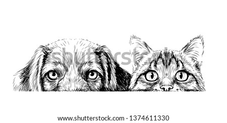 Cat and dog. Wall sticker. Graphic, artistic, sketch drawing of a cat and a dog looking at a table on a white background.