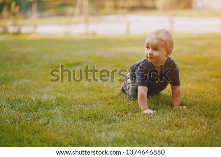 a small boy in the summer sunny park on the grass