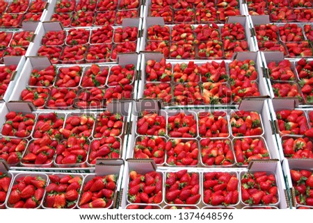 Plenty of strawberries in baskets at the farmers market Royalty-Free Stock Photo #1374648596
