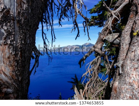 View of Crater Lake National Park peaking through the trees; Oregon