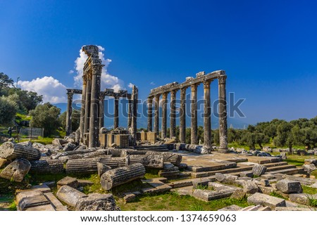Euromos Ancient City. The temple of Zeus Lepsinos (Lepsynos) was built in the 2nd century. Milas, Mugla, Turkey Royalty-Free Stock Photo #1374659063
