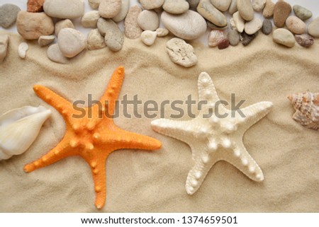 starfish and seashells on the sand of the beach. Royalty-Free Stock Photo #1374659501