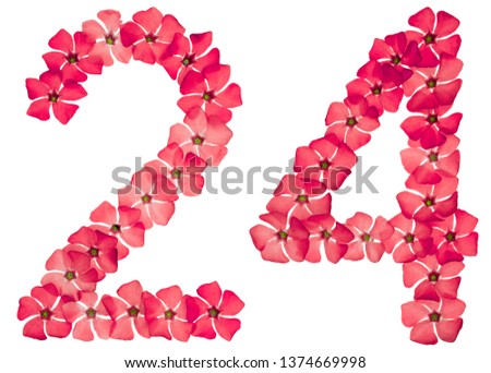 Numeral 24, twenty four, from natural red flowers of periwinkle, isolated on white background