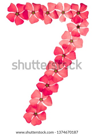 Numeral 7, seven, from natural red flowers of periwinkle, isolated on white background