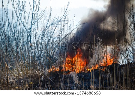 Burning grass field in the spring, Firefighters work. Nature in danger background