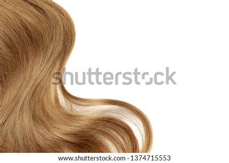 Natural brown hair isolated on white. Background