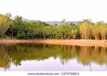 Pictures with trees that reflect the shadow from the river and the background is the sky and mountains.