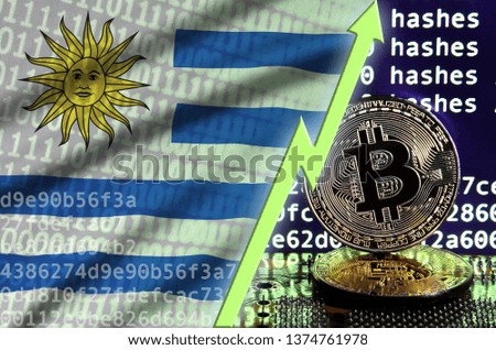 Uruguay flag and rising green arrow on bitcoin mining screen and two physical golden bitcoins