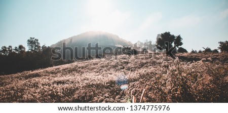 Mountain with morning light background