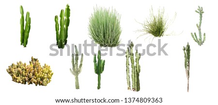 set of isolated shrub and cactus on white background with clipping paths Royalty-Free Stock Photo #1374809363