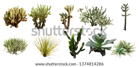 set of isolated shrub and cactus on white background with clipping paths Royalty-Free Stock Photo #1374814286